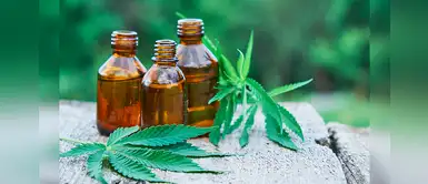 Cannabis medicinal: 4 opciones en las que se puede utilizar para aliviar los síntomas Cannabis medicinal: 4 opciones en las que se puede utilizar para aliviar los síntomas