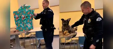 Policía se conmueve al recibir una réplica de su perro k9 que falleció antes de Navidad Policía se conmueve al recibir una réplica de su perro k9 que falleció antes de Navidad