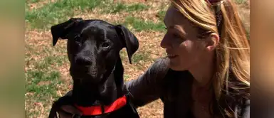 Hombre deja mil dólares de propina para que camarero cure a su perro Hombre deja mil dólares de propina para que camarero cure a su perro