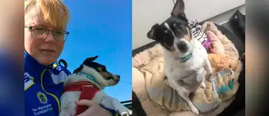 Supermercado se disculpó con mujer que fue expulsada junto a su perro de terapia Supermercado se disculpó con mujer que fue expulsada junto a su perro de terapia