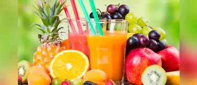 ¿Cómo fortalecer las defensas del organismo? Prueba estos batidos deliciosos y saludables ¿Cómo fortalecer las defensas del organismo? Prueba estos batidos deliciosos y saludables