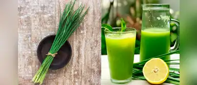 Aprende a preparar una refrescante limonada frozen de hierba luisa para verano Aprende a preparar una refrescante limonada frozen de hierba luisa para verano