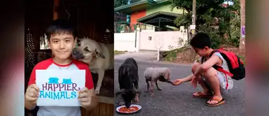 Niño comprendió el sufrimiento de los perros abandonados y usa sus ahorros para alimentarlos Niño comprendió el sufrimiento de los perros abandonados y usa sus ahorros para alimentarlos