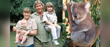 Familia del 'Cazador de cocodrilos' salvan a miles de animales de los incendios en Australia Familia del 'Cazador de cocodrilos' salvan a miles de animales de los incendios en Australia