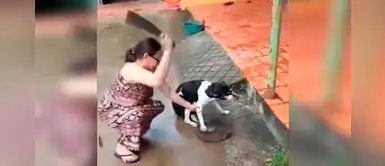Mujer recibe rechazo en redes sociales por mal actuar contra su perrito Mujer recibe rechazo en redes sociales por mal actuar contra su perrito