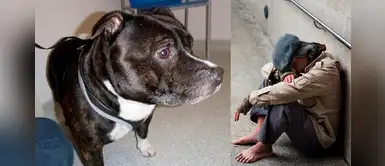 Joven deja a su perrito con conmovedora carta: “Te amo y lo lamento muchísimo” Joven deja a su perrito con conmovedora carta: “Te amo y lo lamento muchísimo”