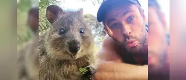 Chris Hemsworth y su familia ayudan a los animales de los incendios en Australia con donación Chris Hemsworth y su familia ayudan a los animales de los incendios en Australia con donación