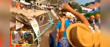 Colombia: mujer obliga a burrito a beber cerveza por la nariz tras ganar una carrera Colombia: mujer obliga a burrito a beber cerveza por la nariz tras ganar una carrera