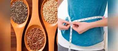 ¿Quieres llegar a tu peso ideal? 4 tipos de semillas que te ayudaran a lograrlo ¿Quieres llegar a tu peso ideal? 4 tipos de semillas que te ayudaran a lograrlo