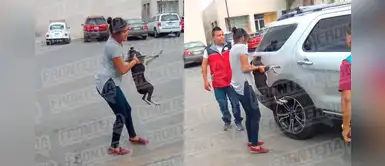 Mujer atropella a perro y baja para ayudarlo, pero can se 'hace el muerto’ y la muerde Mujer atropella a perro y baja para ayudarlo, pero can se 'hace el muerto’ y la muerde