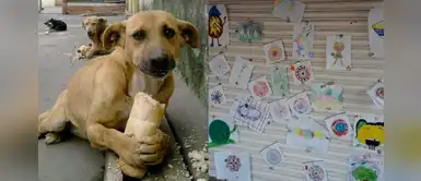 Niñas venden sus dibujos para comprar comida a perros abandonados Niñas venden sus dibujos para comprar comida a perros abandonados