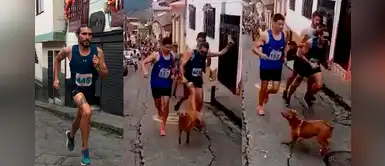 Atleta patea a perrito porque le impedía seguir corriendo y pierde patrocinio de empresa Atleta patea a perrito porque le impedía seguir corriendo y pierde patrocinio de empresa