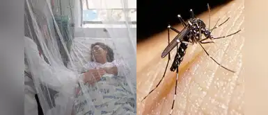 Dengue: ¿Cómo prevenir para evitar el contagio de la enfermedad? Dengue: ¿Cómo prevenir para evitar el contagio de la enfermedad?