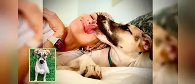 Anahí de Cárdenas envía conmovedor mensaje: "Lima, la mejor enfermera del amor" Anahí de Cárdenas envía conmovedor mensaje: "Lima, la mejor enfermera del amor"