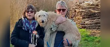 Emotivo encuentro de una pareja de ancianos con su perro extraviado luego de 6 días Emotivo encuentro de una pareja de ancianos con su perro extraviado luego de 6 días