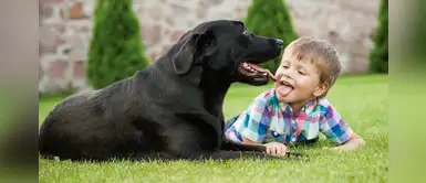 10 razones por la que sí debes tener un perro y un niño 10 razones por la que sí debes tener un perro y un niño