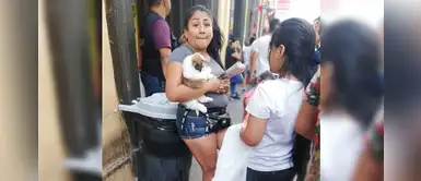 ¿Continúa la venta ilegal de perros en Centro de Lima pese a prohibición? ¿Continúa la venta ilegal de perros en Centro de Lima pese a prohibición?