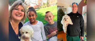 Humano fue a recoger a su perrito de la peluquería, pero trae a otro can Humano fue a recoger a su perrito de la peluquería, pero trae a otro can