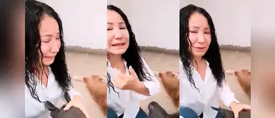 Janet Barboza rompe en llanto y hace denuncia al descubrir que envenenaron a su perrito Janet Barboza rompe en llanto y hace denuncia al descubrir que envenenaron a su perrito