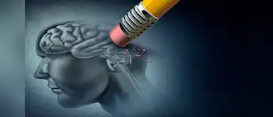 Una proteína revertiría procesos patológicos asociados al Alzheimer, según estudio Una proteína revertiría procesos patológicos asociados al Alzheimer, según estudio