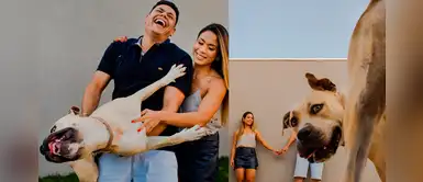 Pareja incluye a su perrito en sesión de fotos, pero jamás imaginaron estos resultados Pareja incluye a su perrito en sesión de fotos, pero jamás imaginaron estos resultados