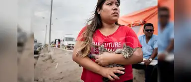 Villa El Salvador: ¿Cómo ayudar a un perro o gato con quemaduras? Villa El Salvador: ¿Cómo ayudar a un perro o gato con quemaduras?