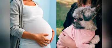 Embarazada le pide a mujer que cambie el nombre de su perro por qué así se llamará su bebé Embarazada le pide a mujer que cambie el nombre de su perro por qué así se llamará su bebé