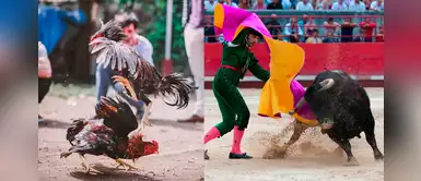 Lista de candidatos al Congreso que son aficionados a eventos taurinos y peleas de gallos Lista de candidatos al Congreso que son aficionados a eventos taurinos y peleas de gallos