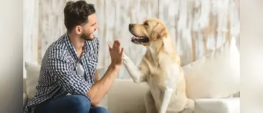 Personas que se criaron con perros tienen menos riesgo de padecer esquizofrenia Personas que se criaron con perros tienen menos riesgo de padecer esquizofrenia