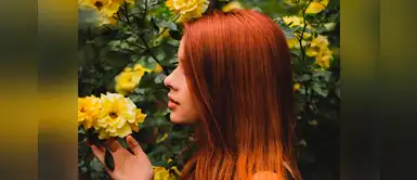 ¿Tu cabello teñido está reseco? Hidratalo con esta mascarilla ¿Tu cabello teñido está reseco? Hidratalo con esta mascarilla