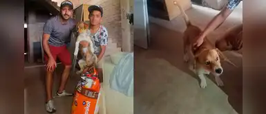 Lester, el perrito que fue salvado por su joven dueño durante voraz incendio en VES Lester, el perrito que fue salvado por su joven dueño durante voraz incendio en VES