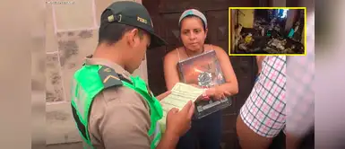 Municipalidad de Surco multa a dueña de 30 gatos con s/4.300 por maltrato animal Municipalidad de Surco multa a dueña de 30 gatos con s/4.300 por maltrato animal