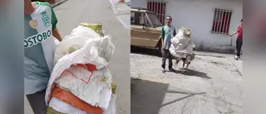 Colombia: hombre desalmado utiliza a su perrito para cargar costales Colombia: hombre desalmado utiliza a su perrito para cargar costales