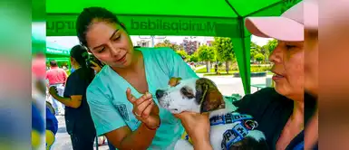 Surquillo: campaña veterinaria gratuita para mascotas este sábado 1 de febrero Surquillo: campaña veterinaria gratuita para mascotas este sábado 1 de febrero