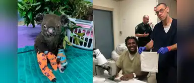 Presos cosen bolsos para koalas y canguros que quedaron huérfanos tras el incendio en Australia Presos cosen bolsos para koalas y canguros que quedaron huérfanos tras el incendio en Australia