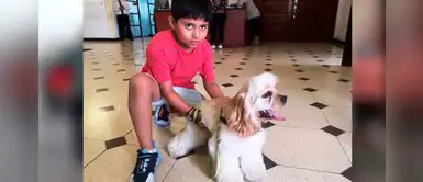 Magdalena: vecinos podrán ingresar al municipio a realizar sus trámites junto a sus perritos Magdalena: vecinos podrán ingresar al municipio a realizar sus trámites junto a sus perritos