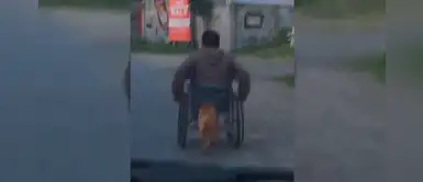 Didong, el perrito que ayuda a su dueño discapacitado a empujar su silla de ruedas Didong, el perrito que ayuda a su dueño discapacitado a empujar su silla de ruedas