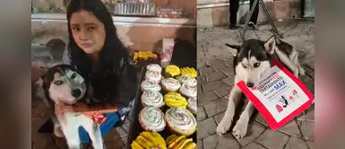 Perrito que vendía cupcakes para pagar su tratamiento perdió la batalla del cáncer Perrito que vendía cupcakes para pagar su tratamiento perdió la batalla del cáncer