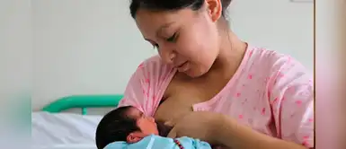 ¿Existen diferentes tipos de leche materna? ¿Existen diferentes tipos de leche materna?