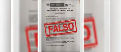 INEN y Minsa desmienten comunicado en el que se advierte que cáscara de piña causa cáncer INEN y Minsa desmienten comunicado en el que se advierte que cáscara de piña causa cáncer