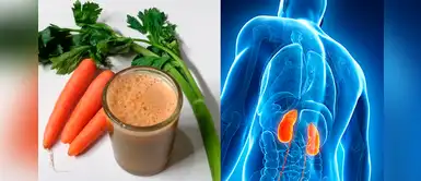 Jugo de apio, zanahoria y ajo, una poderosa bebida para desinflamar los riñones Jugo de apio, zanahoria y ajo, una poderosa bebida para desinflamar los riñones