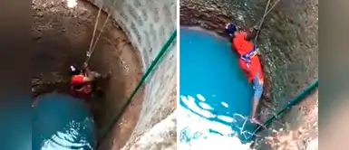 Mujer arriesga su vida: se tira a un pozo profundo para salvar a un perrito Mujer arriesga su vida: se tira a un pozo profundo para salvar a un perrito