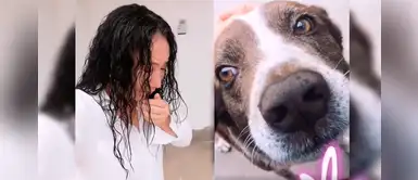 Janet Barboza descubre al responsable de la muerte de su perrito envenenado Janet Barboza descubre al responsable de la muerte de su perrito envenenado