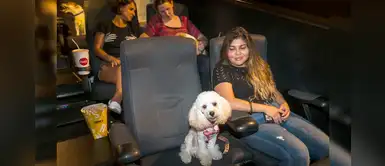 ¡Primera función Pet friendly se cancela! ¡Primera función Pet friendly se cancela!