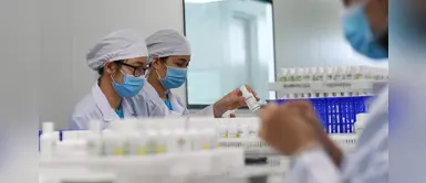 Desarrollan en Argentina un test para detectar el coronavirus en una hora Desarrollan en Argentina un test para detectar el coronavirus en una hora