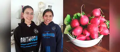 México: estudiantes crean gomitas de rábano para tratar el hipertiroidismo México: estudiantes crean gomitas de rábano para tratar el hipertiroidismo