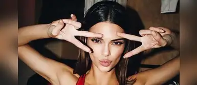 Kendall Jenner luce los pantalones de estampado de vaca que querrás este 2020 Kendall Jenner luce los pantalones de estampado de vaca que querrás este 2020