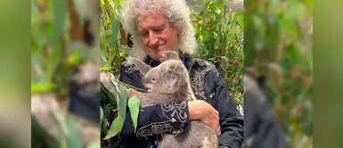 Guitarrista de Queen brindó concierto privado a un koala rescatado en Australia Guitarrista de Queen brindó concierto privado a un koala rescatado en Australia