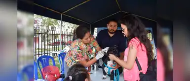 Lince: Campaña médica gratis para perros y gatos este domingo 23 de febrero Lince: Campaña médica gratis para perros y gatos este domingo 23 de febrero