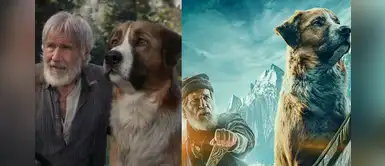 El Llamado Salvaje: Harrison Ford regresa a la pantalla grande con tierna película El Llamado Salvaje: Harrison Ford regresa a la pantalla grande con tierna película